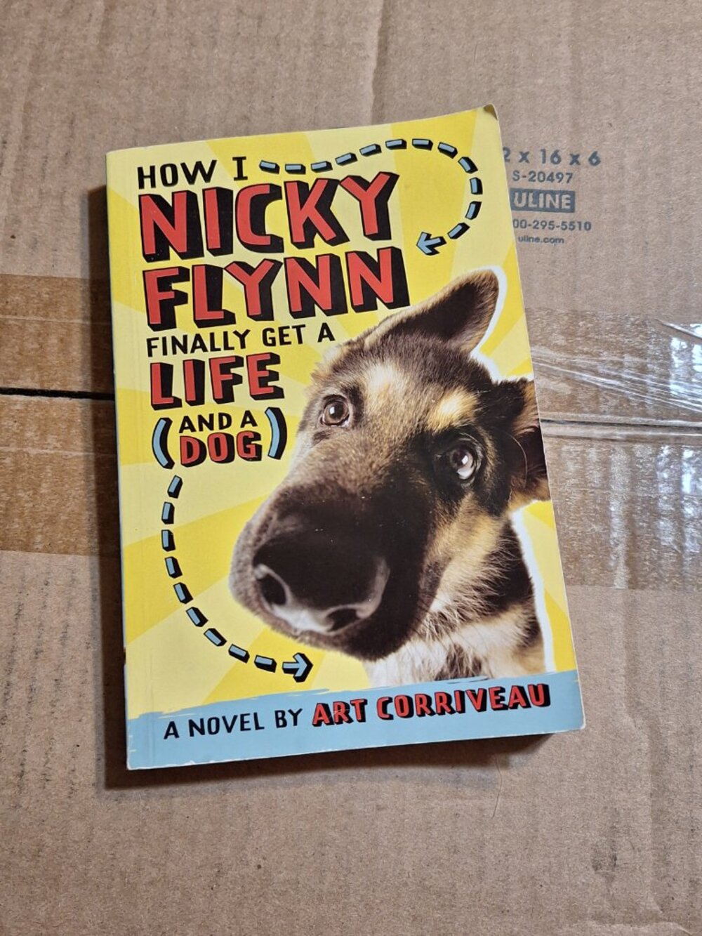 how i nicky flynn finally get a life and a dog